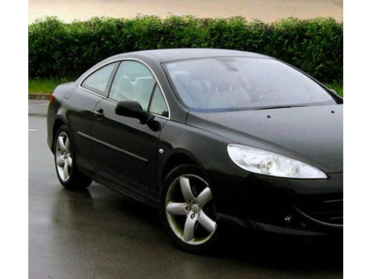 Baguette chrom&eacute;e de contour des vitres lat&eacute;rales pour Peugeot 407