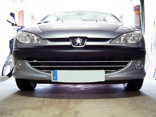 Baguette de calandre chromée compatible avec Peugeot 206 Peugeot 206 CC Peugeot 206 SW nid dabeille