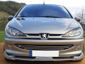 Baguette de calandre chrom&eacute;e compatible avec Peugeot 206 Peugeot 206 CC Peugeot 206 SW
