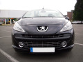Baguette de calandre chrom&eacute;e compatible avec Peugeot 207 06-12 Peugeot 207 CC 07-15 Peugeot 207 SW 07-13