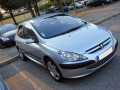 Baguette de calandre chrom&eacute;e compatible avec Peugeot 307 01-05 Peugeot 307 CC 01-05 Peugeot 307 SW 01-05