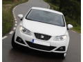 Baguette de calandre chrom&eacute;e compatible avec Seat Ibiza 08-17 & Seat Ibiza ST