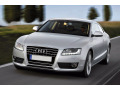 Baguette de calandre chrom&eacute;e pour Audi A5 Cabriolet 09-11 Audi A5 Coup&eacute; 07-11 Audi A5 Sportback 09-11