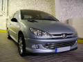Baguette de calandre chrom&eacute;e pour Peugeot 206 Peugeot 206 CC Peugeot 206 SW
