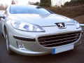 Baguette de calandre chrom&eacute;e pour Peugeot 407 & Peugeot 407 SW horizontale