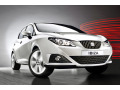 Baguette de calandre chrom&eacute;e pour Seat Ibiza 08-17 & Seat Ibiza ST